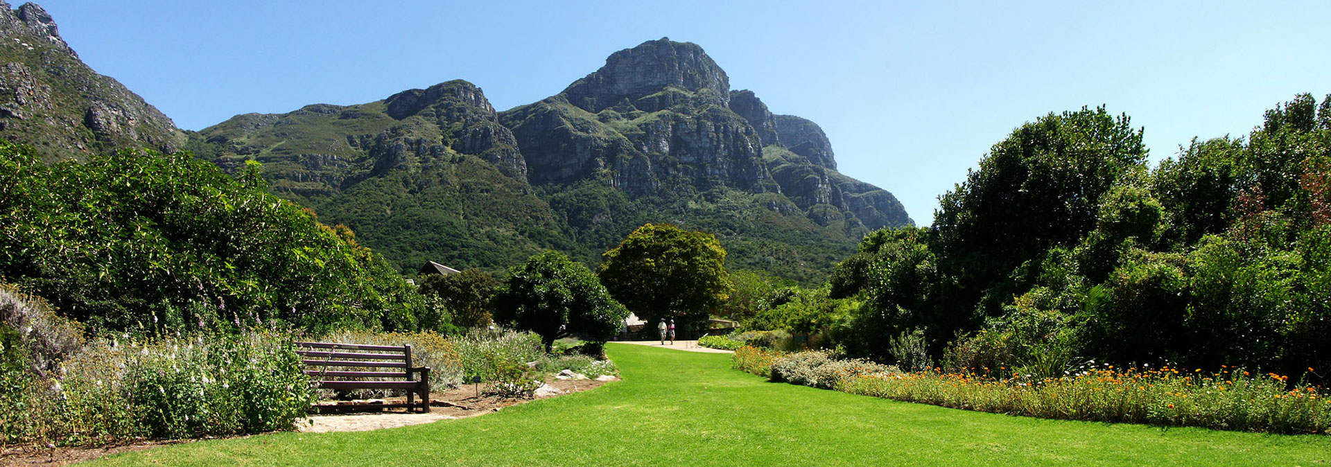 Spectacular Kirstenbosch And Company S