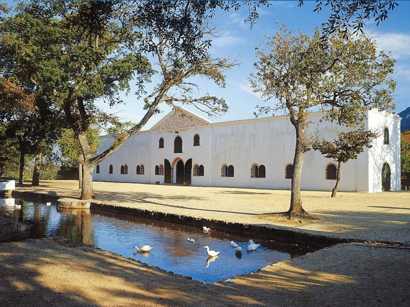Groot Constantia Wine Farm - tours